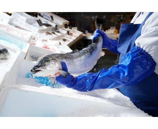 ANSELL 23-201 PVC Kaplama Kimyasal ve Sıvı Korumalı Eldiven No:9