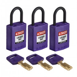 CPT-PRP-25PL-KA3PK SafeKey Asma Kilitleri — Kompakt