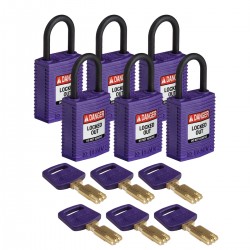 CPT-PRP-25PL-KD6PK SafeKey Asma Kilitleri — Kompakt