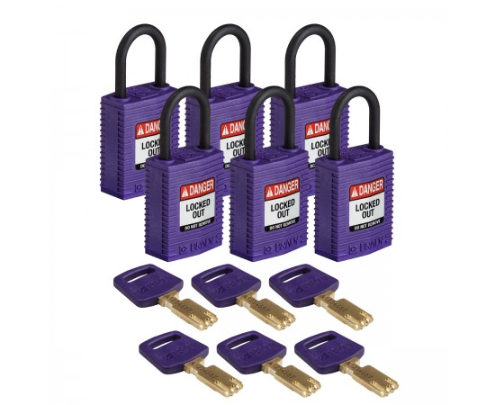 CPT-PRP-25PL-KD6PK SafeKey Asma Kilitleri — Kompakt CPT-PRP-25PL-KD6PK SafeKey Asma Kilitleri — Kompakt