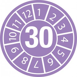 DATE INSPECTION LBLS B-429 30 -DIA 10 Emniyet Belirteçli Denetim Tarihi Etiketleri Yıl 30