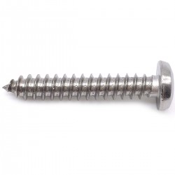 SCREWS 2,2X6,5 FOR NAME PLATE PTBIAN ray için akıllı vidalar
